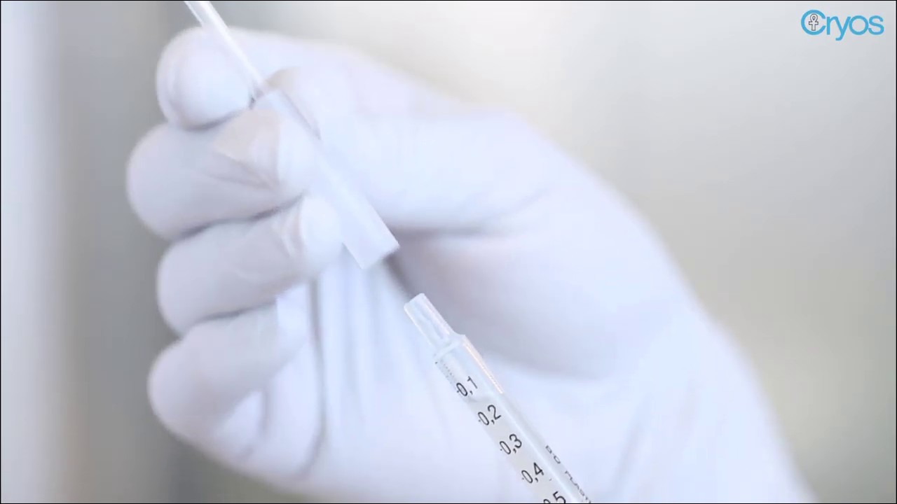 Handling of Cryos Sperm Straws