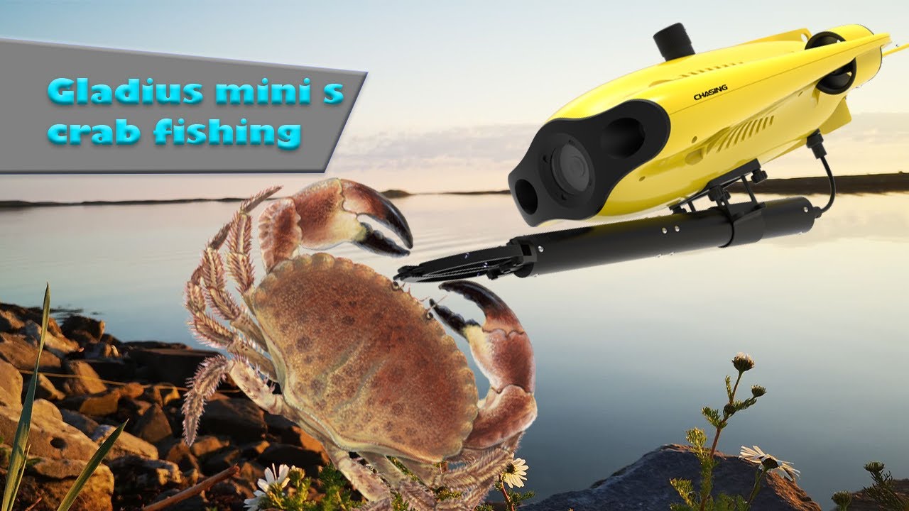 Fishing crabs with gladius mini s