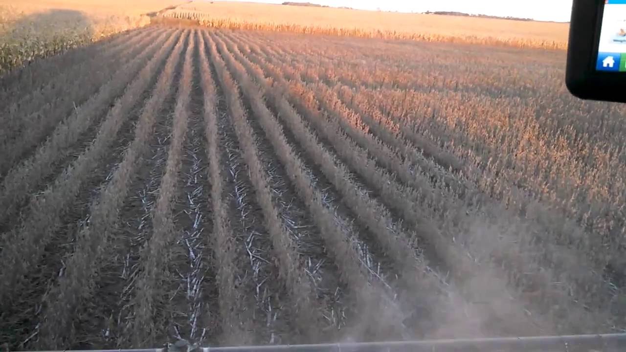 Ag Leader Integra on Lexion 570R Harvesting Soybeans