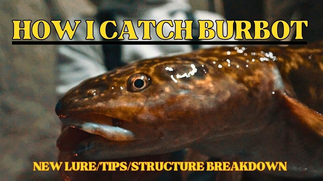 Day 2/3 of Ice Fishing BURBOT- NEW SECRET LURE REVEALED/Structure Breakdown