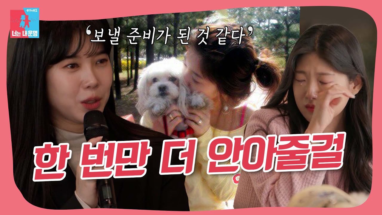 반려동물과 이별을 준비하는 방법😢 #동상이몽
