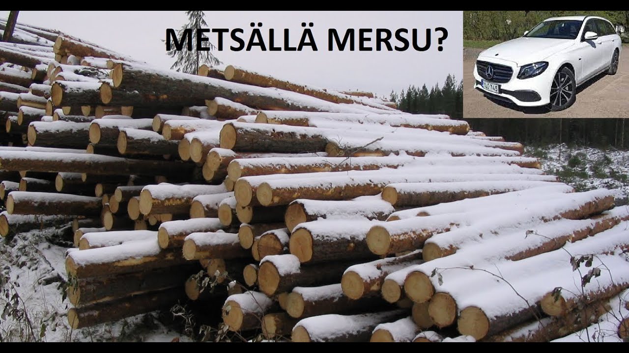 Metsolan Metsäkoulu 202 - Metsätalouden 27 vuoden tulos