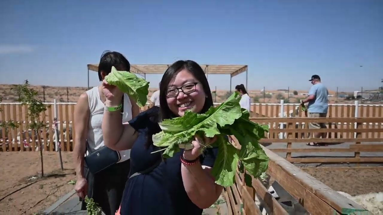 Desert Farming Al Ain Farm UAE