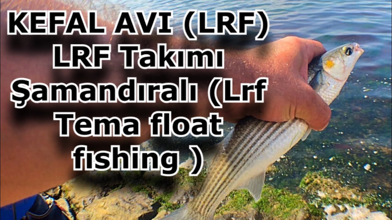 KEFAL AVI (LRF) LRF Takımı Şamandıralı (Lrf Tema float fıshing )