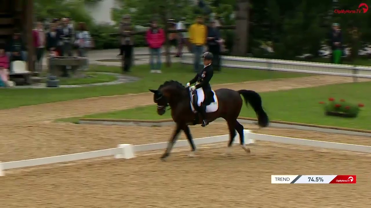 CDI4* Schindlhof Fritzens, B06 GP Special 2. Platz Victoria Max-.Theurer auf Birkhof's Topas FBW