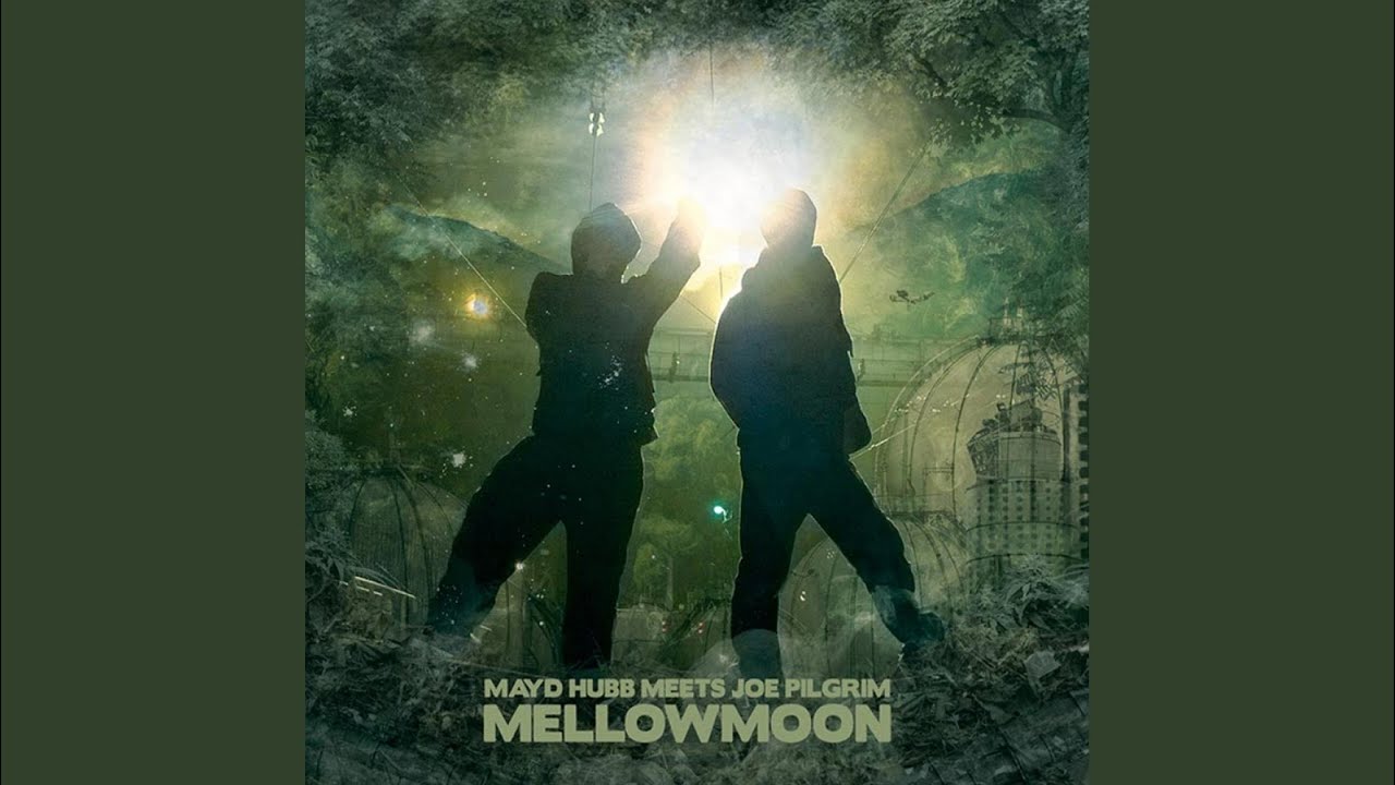 Mellowmoon (Original Mix)