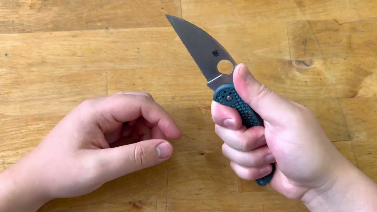 Review: Spyderco Delica 4 Wharncliffe