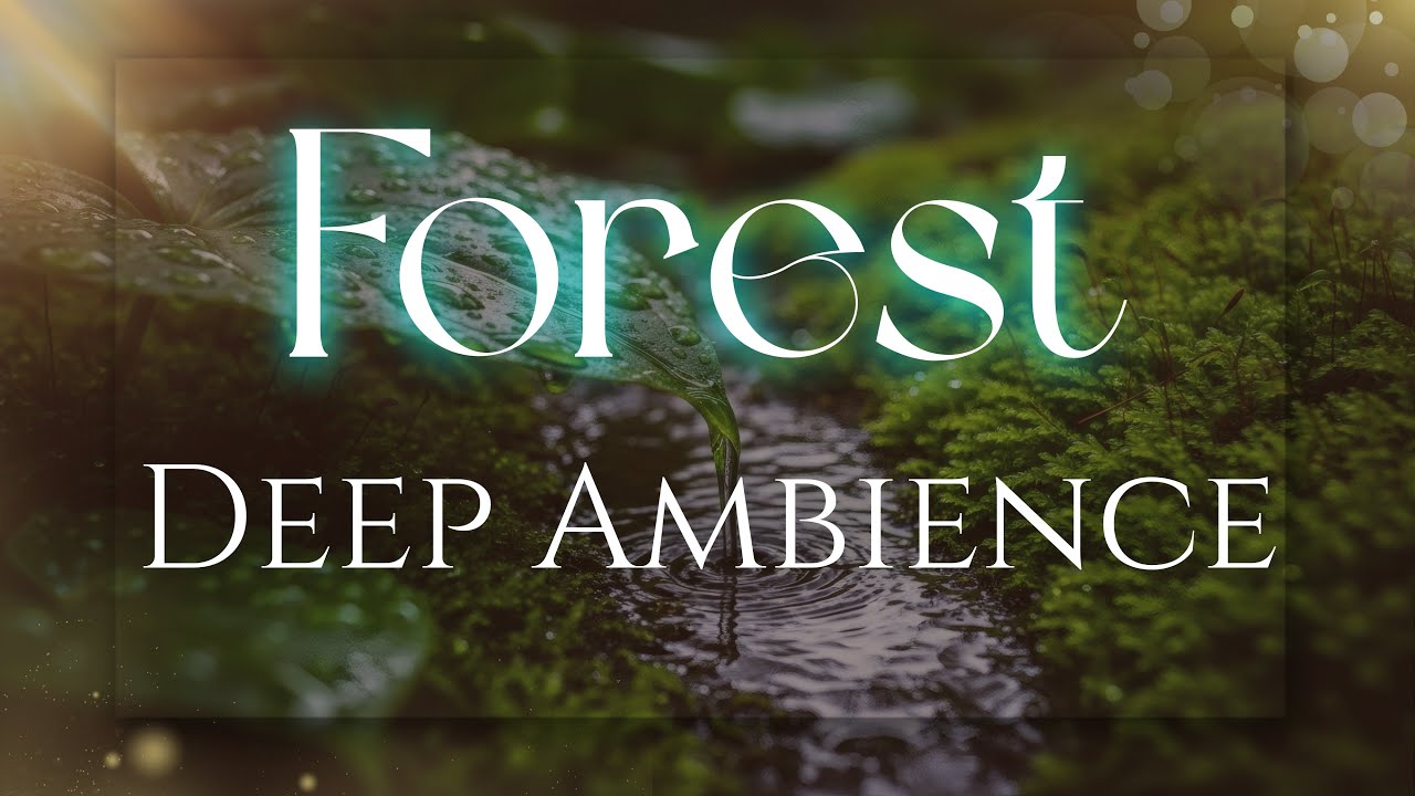 Heavy Rain Deep Forest Ambience 🌳 Nature White Noise for Sleep & Relax #rainsounds #sleepmusic #asmr