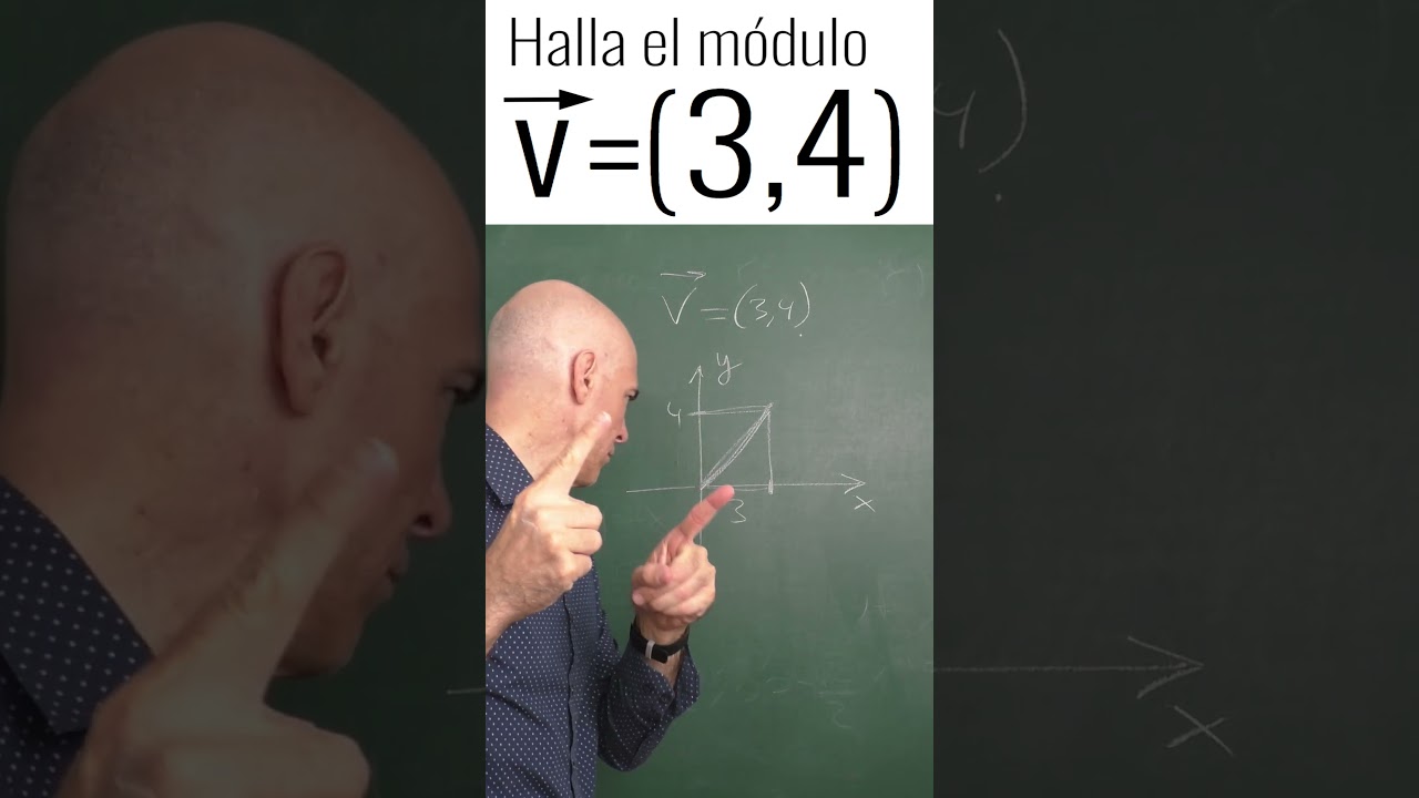 CALCULA EL M&Oacute;DULO DEL VECTOR
