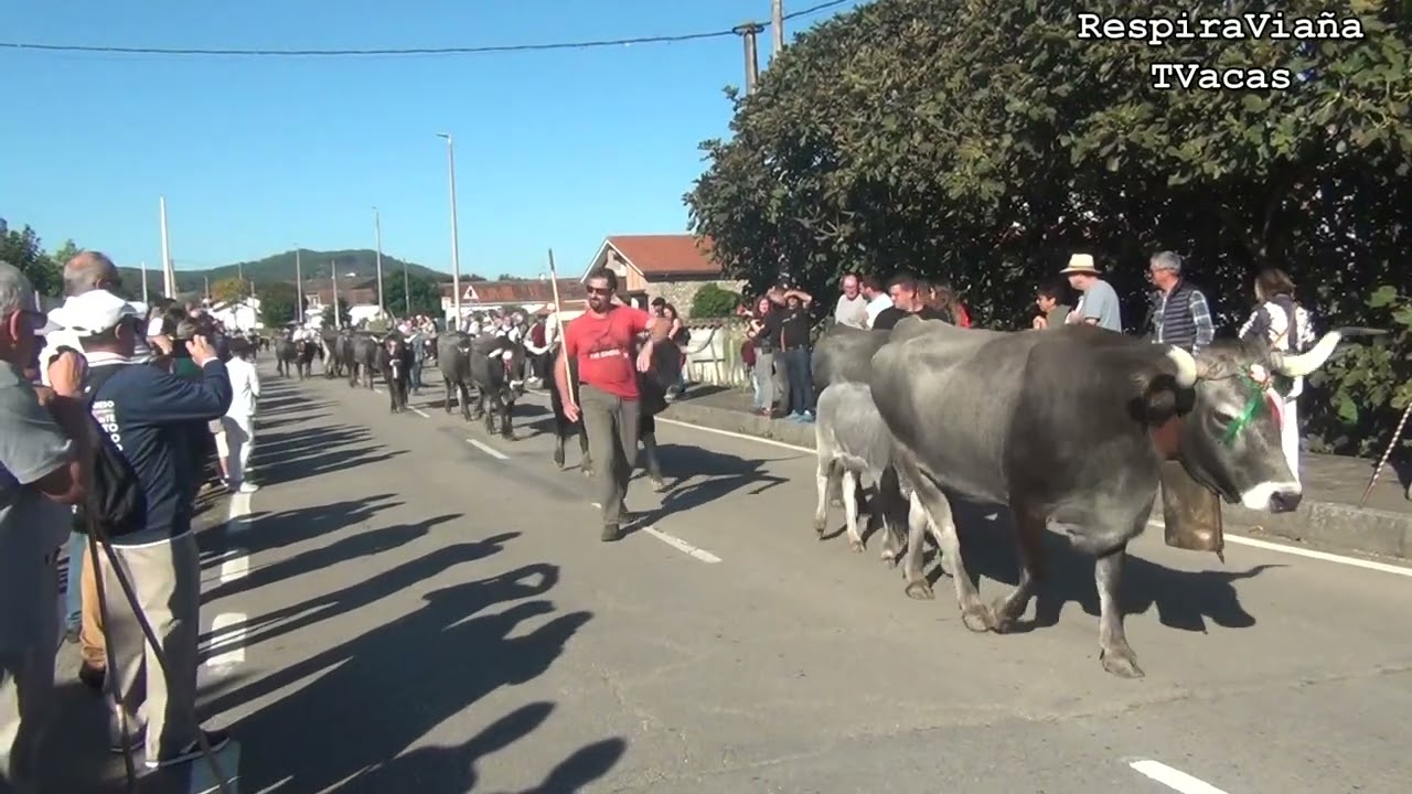 45 Olimpiada del Tudanco 12 10 2025