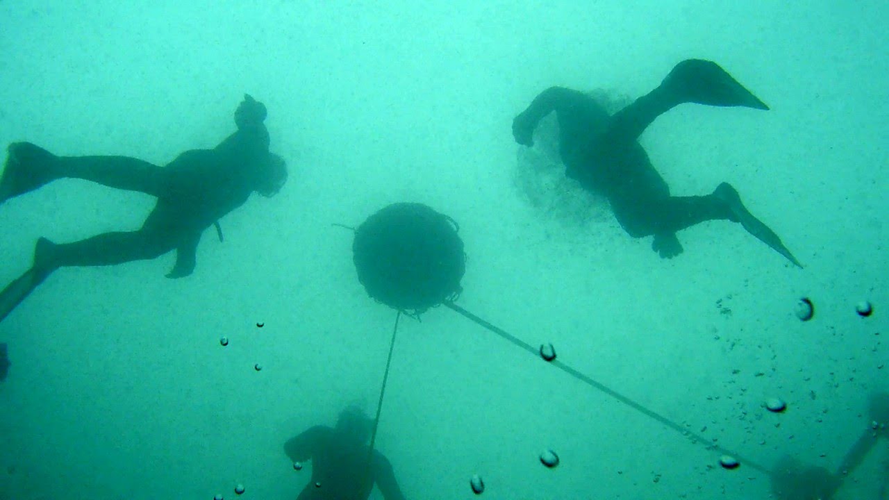 Lake Freediving - Green Freediving
