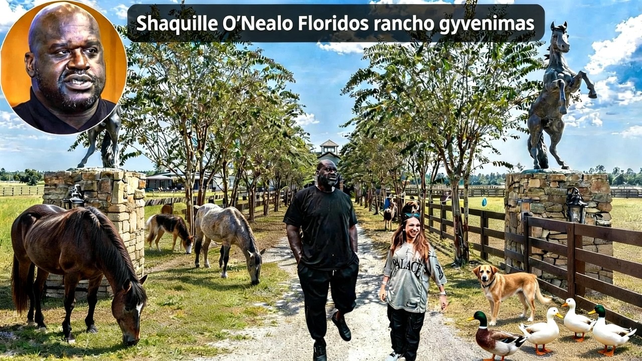 Shaquille O’Neal i ogromna fortuna po opuszczeniu NBA
