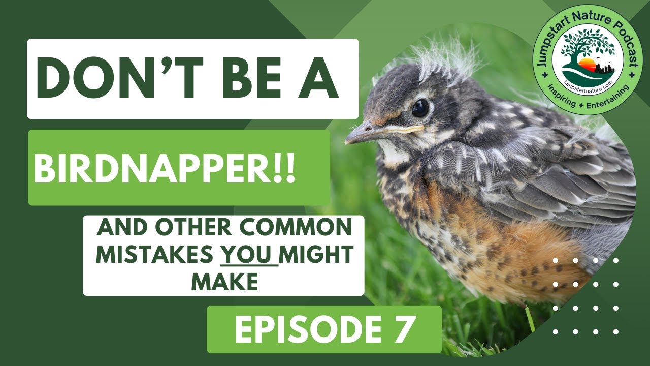 Episode 7: Don't Be a Birdnapper! (Or: How I Learned to Stop Worrying and Help Wildlife)