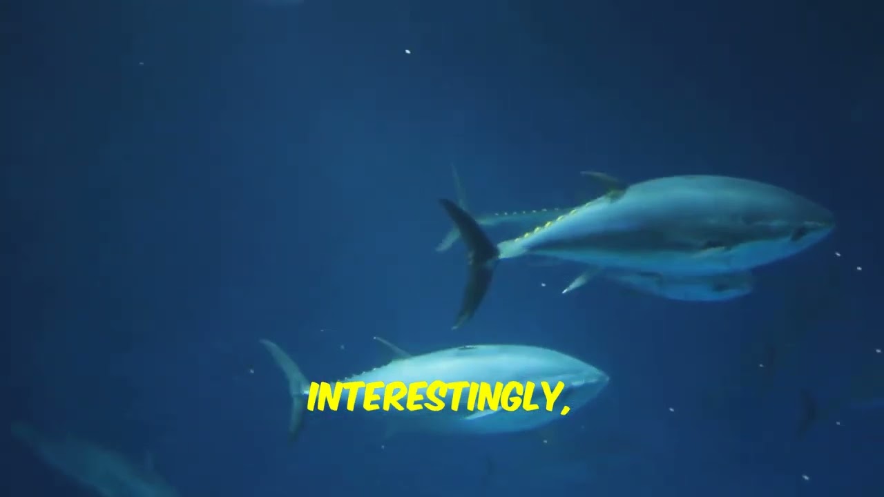 How Fish Breathe: The Secret of Gills