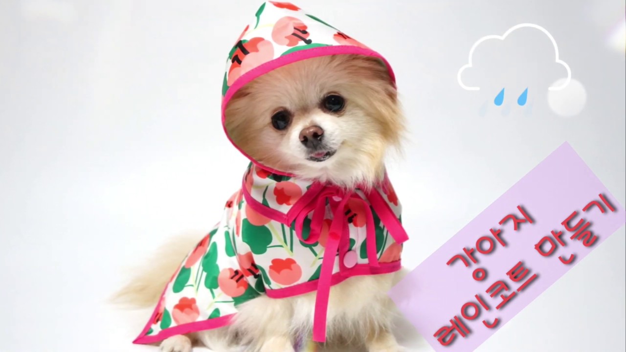 강아지우비만들기 핸드메이드 강아지비옷 레인코트 dog raincoat
