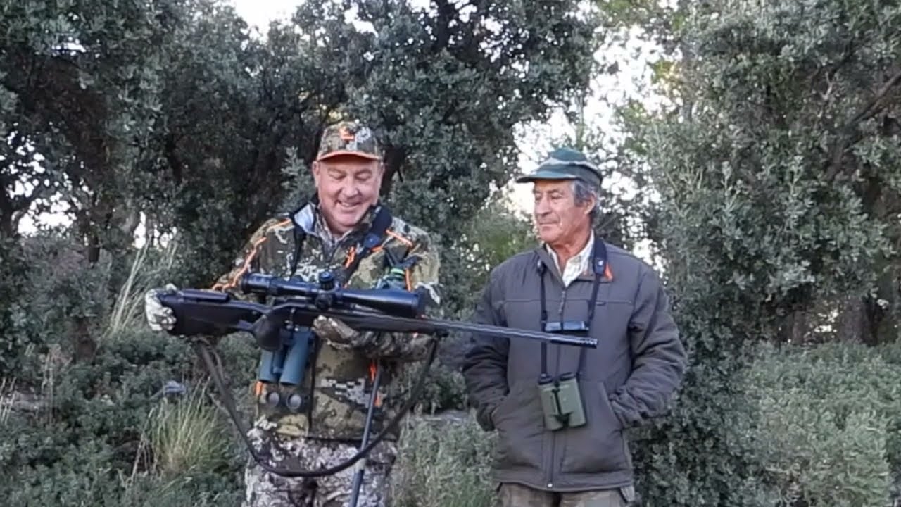 Caza de macho montes a 798 m. Spanish ibex long range hunt.