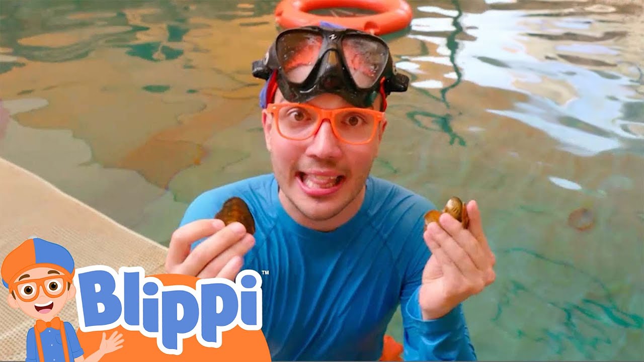 Blippi Searches For the Mother Pearl | Blippi - Full Episodes | Learning Videos with Blippi