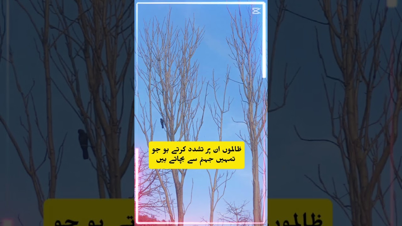 جمعہ  مبارک ہو آپ کو 💫