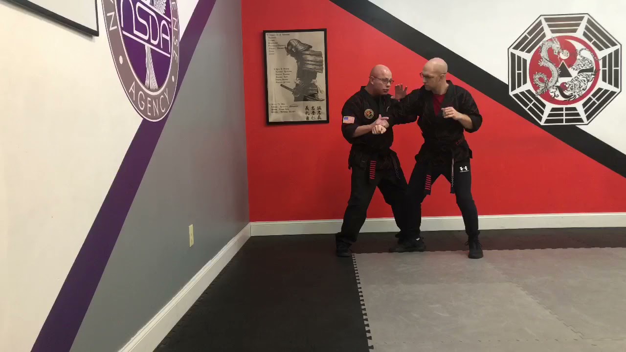 Advanced Application of Hapkido Striking and Kicking