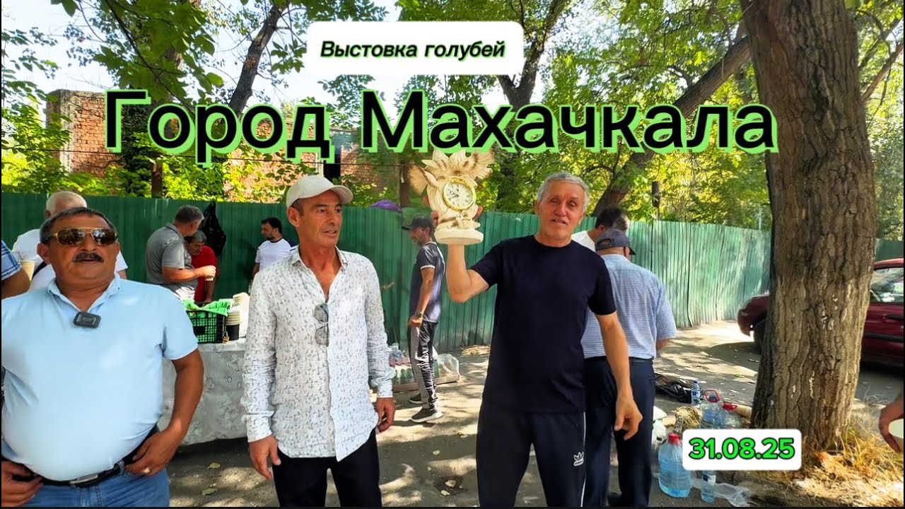Выстовка голубей Город Махачкала 31.08.25