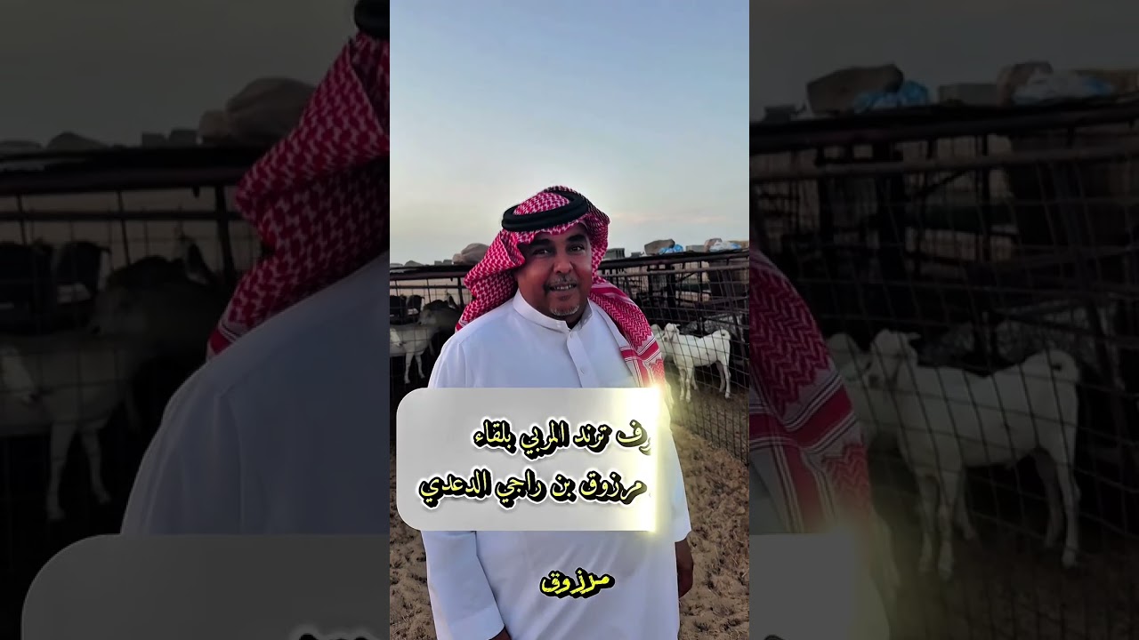 لقاء مع المربي القدير الشيخ مرزوق بن راجي الدعدي