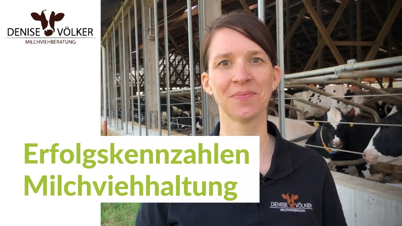 Erfolgskennzahlen Milchviehfütterung - Tipps von Denise Völker