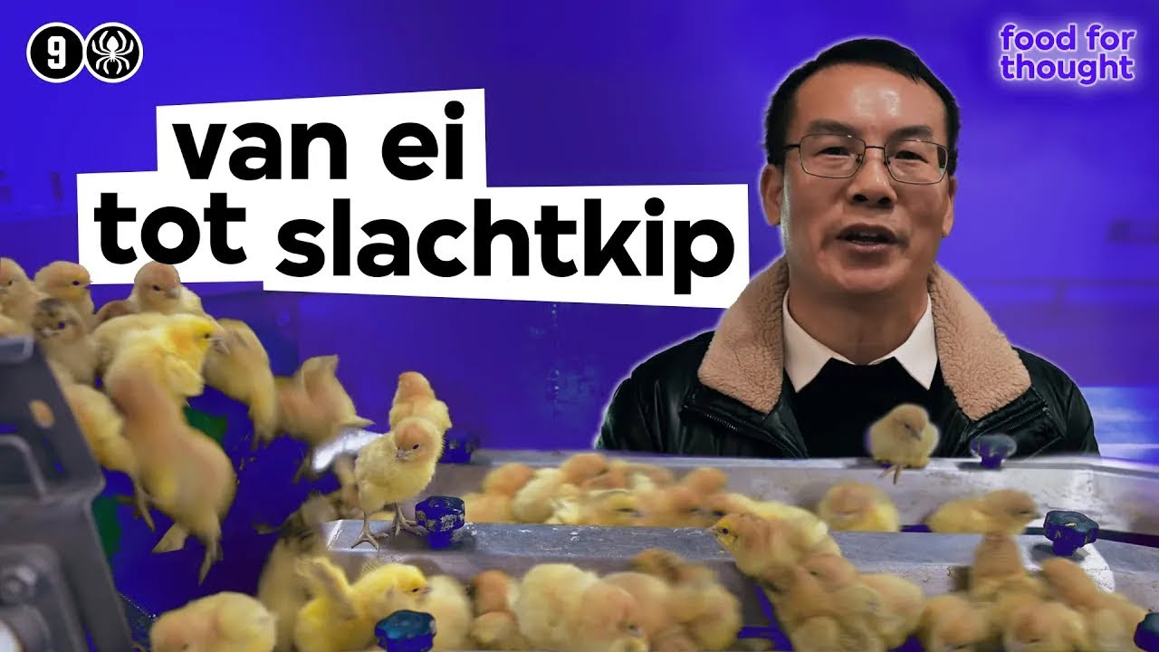 Zo vermenigvuldigt China haar vleesconsumptie | Food for Thought