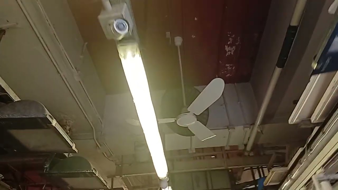 Fan in my market 
