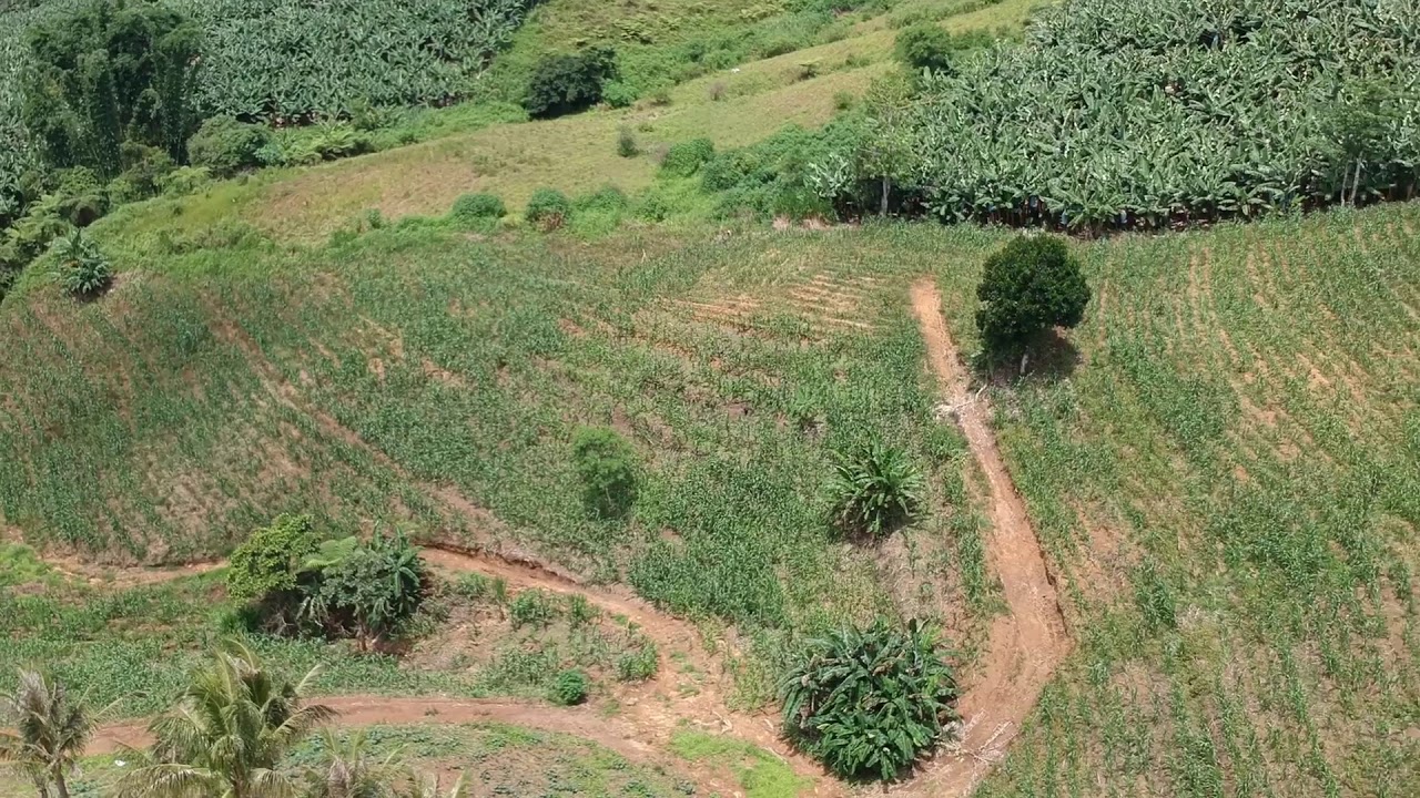 Drone: Mount Kitanglad, Bukidnon