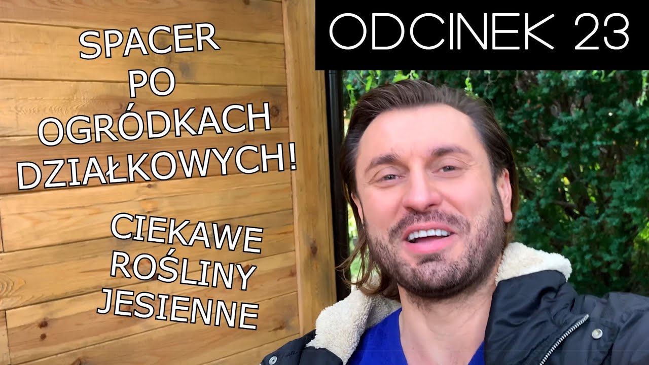 Ciotka Na Działce... Co u sąsiada w trawie piszczy? | Rafał Grabias
