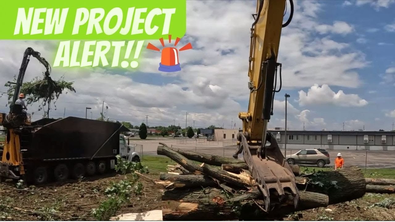 MIDDLE OF THE CITY, Taking down a few MONSTER TREES.