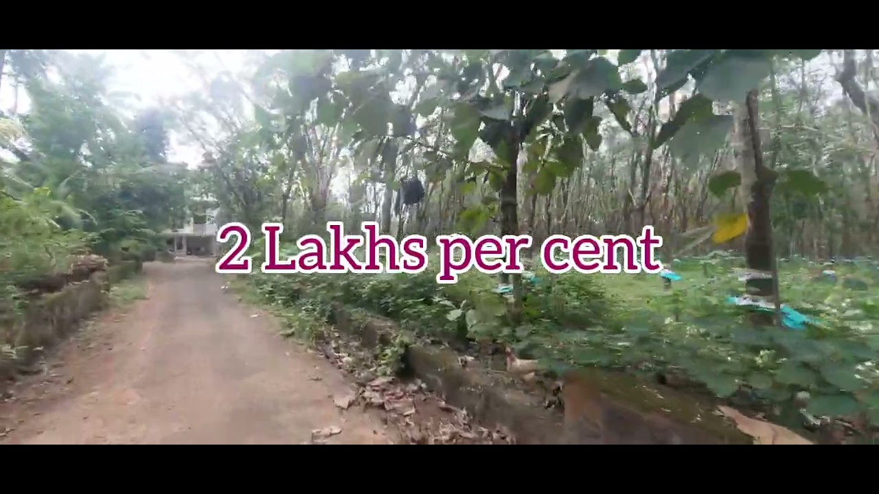 1.25 acre land for sale karukutty