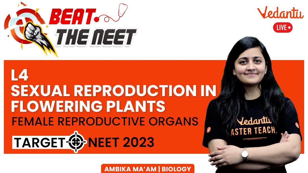 Sexual Reproduction in Flowering Plants #4 | Target NEET 2023 | NEET Biology | Ambika Ma'am