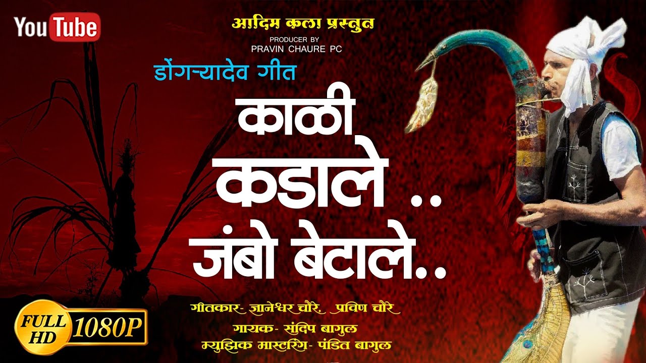 New_Dongryadev_Song|| काळी कडाले जंबो बेटाले |ADIM KALA 2025 Pravin Chaure 