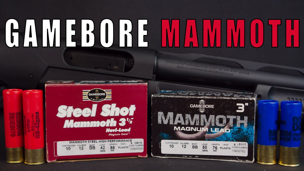 Обзор патрона Gamebore Mammoth Magnum для дробовика