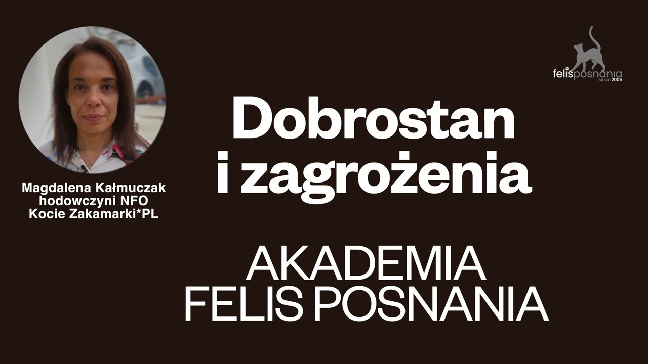 🐈 Akademia Felis Posnania - Dobrostan i zagrożenia
