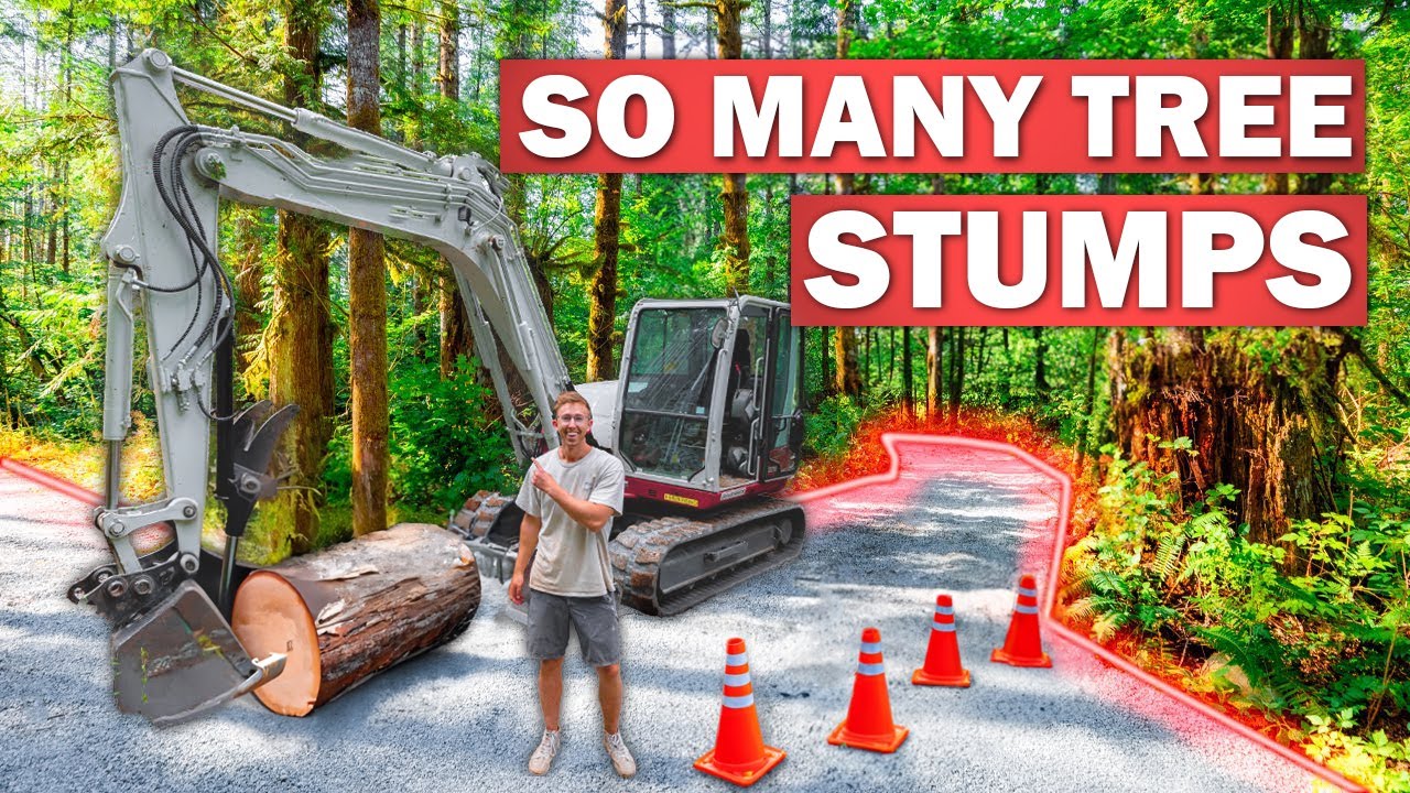 Building My 700ft Forest Driveway on a BUGDET