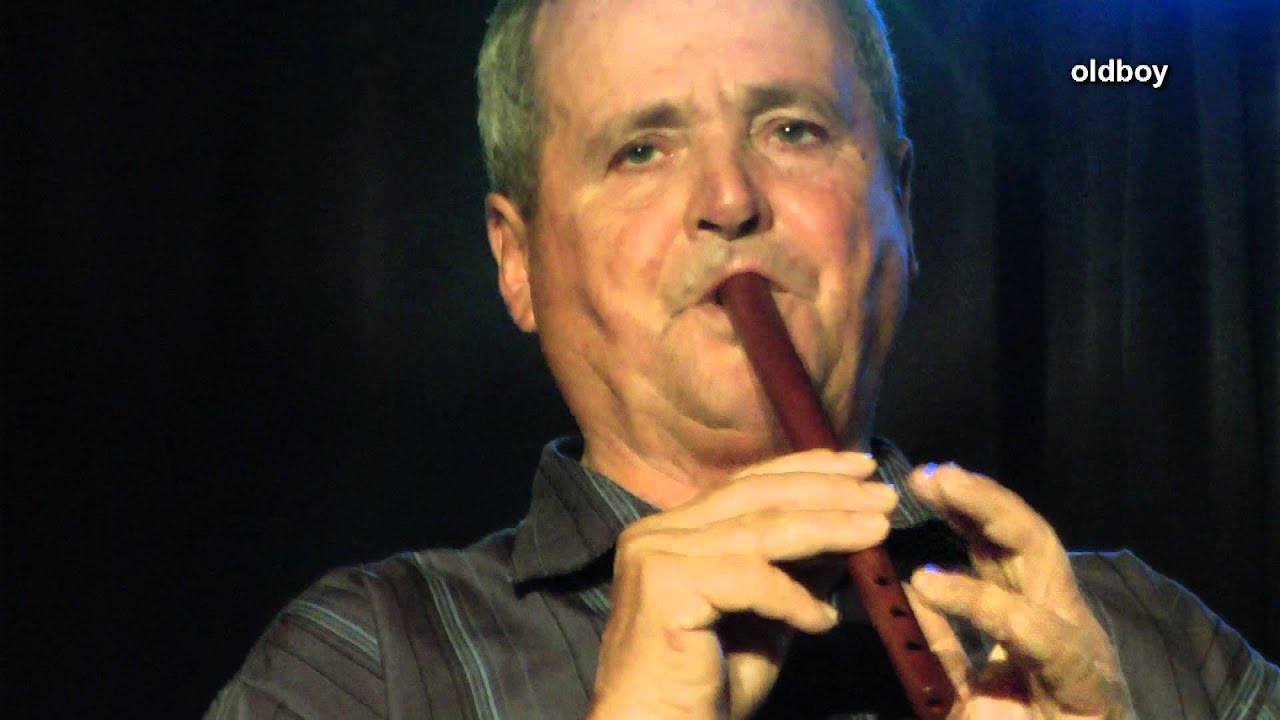Hodorog András - Botosánka - Mandache Aurel emlékkoncert
