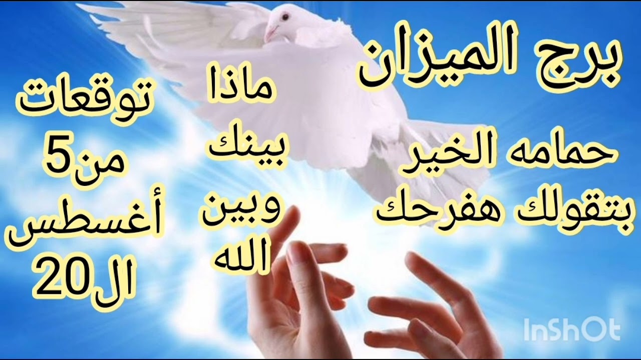 برج الميزان توقعات من5 أغسطس الي 20//حمامه الخير بتقولك هفرحك//انت ملك من ملوك المال والثراء 