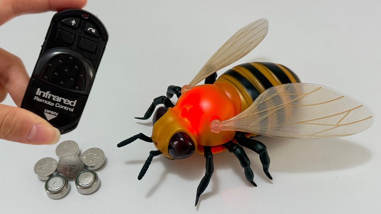 Unboxing RC Insect Bee, New Energy Concept RC Racing Car, Gear EV Dinosaur Car, RC Drift Racing Car
