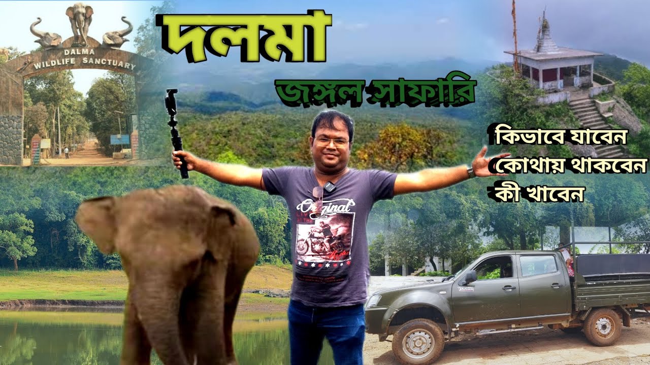 দলমা পাহাড় এ জঙ্গল সাফারি | Dalma Wildlife Sanctuary | Kolkata to Dalma Tour Plan