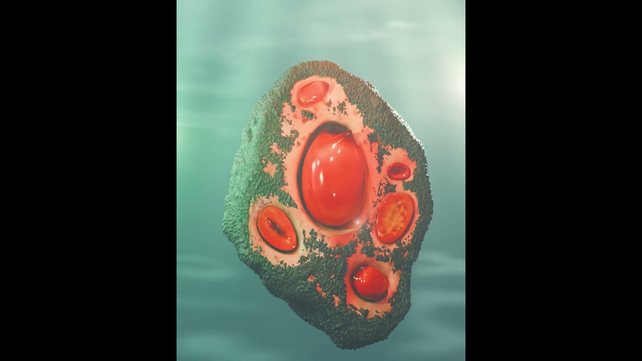 Piure Love #piure #mariscos #chile #3d #blender #aftereffects