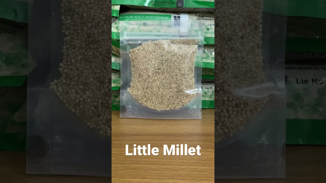 Brightcrop Little Millet