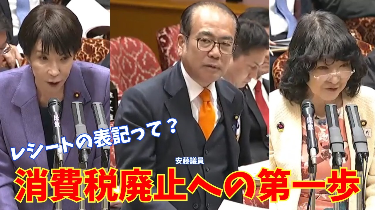 参政党 安藤　消費税廃止　国会　自民党　高市早苗　片山さつき