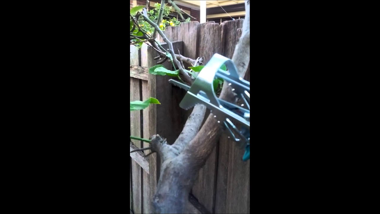 Bosch Keo Li-Ion Pruning Saw