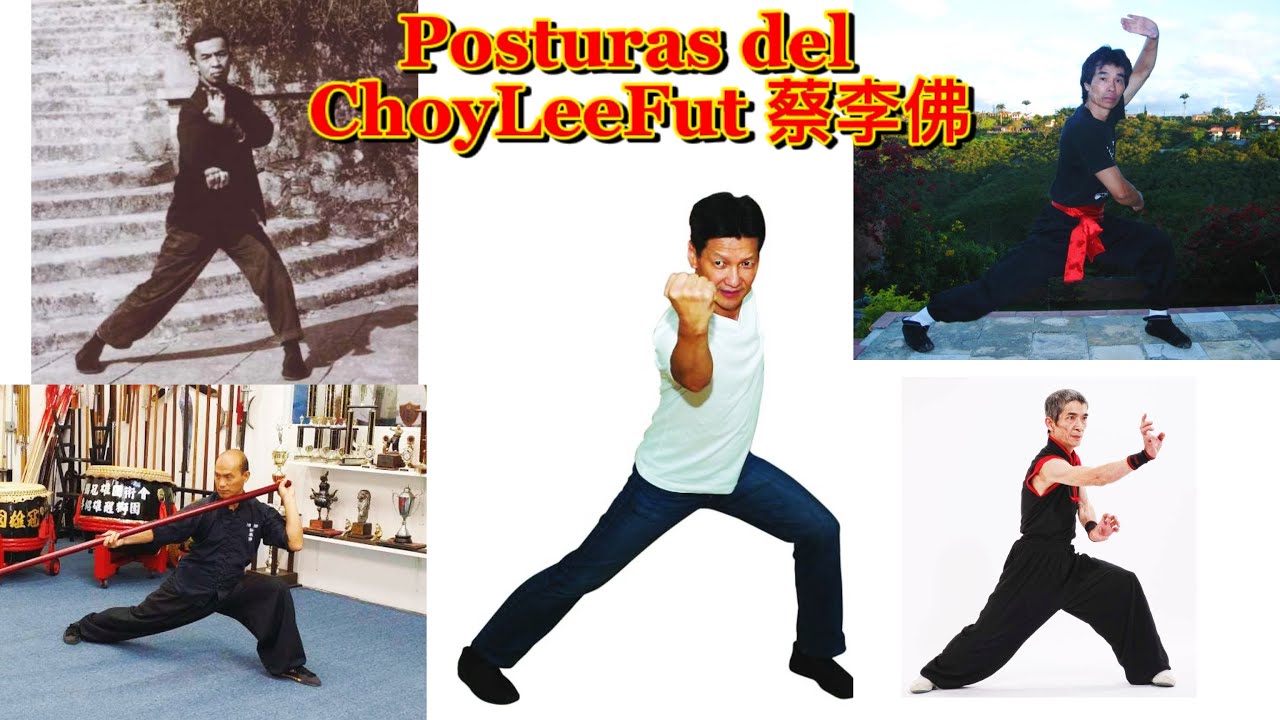 Posturas del Kung fu Choy lee fut (Video 1)