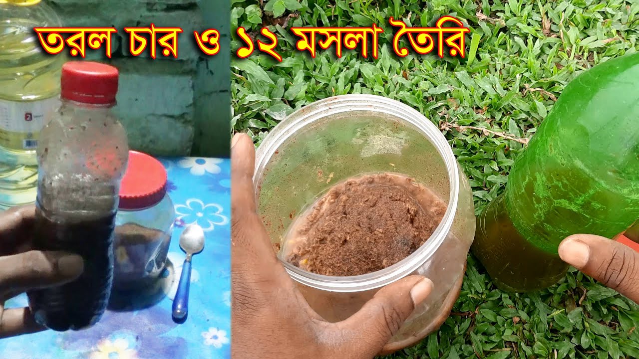 মাছ ধরার ১২ মসলা ও তরল চার তৈরির নিয়ম। সহজেই বহন করা যায়। নদী ও পুকুরে কার্যকরি চার।