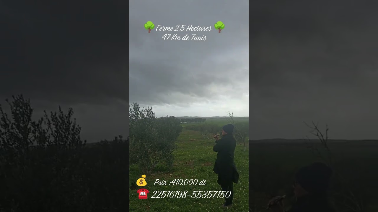Ferme 2.5 hectares 
