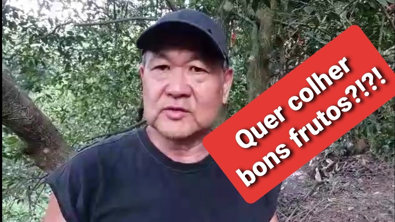 Como adubar as frutiferas!!! Veja várias opções de manejo.