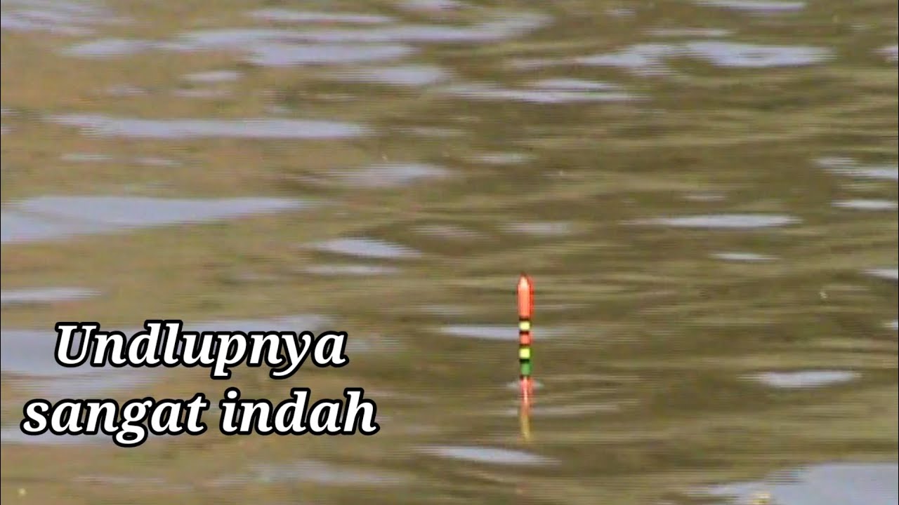 UNDLUPNYA SANGAT INDAH | MANCING NYOBOK DI WADUK PACAL BOJONEGORO